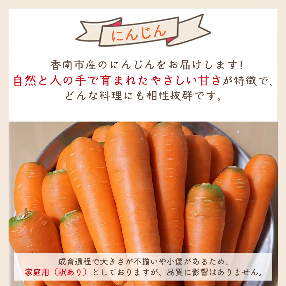 【先行予約】にんじん ２ｋｇ 家庭用 にんじん yr-0136