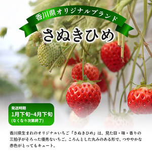 先行予約 いちご さぬきひめ 約500g いちご