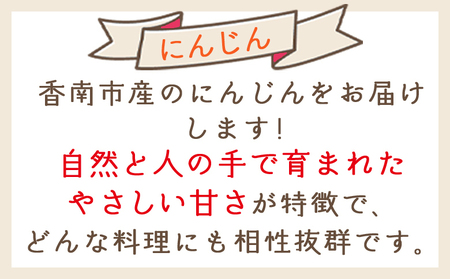 【2026年11月以降発送】にんじん ５ｋｇ 家庭用 yr-0138