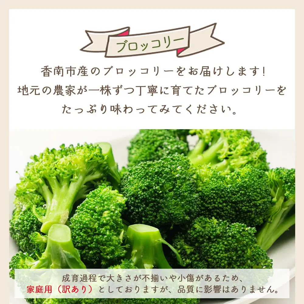 【2026年11月末以降発送】ブロッコリー １ｋｇ 家庭用 yr-0086