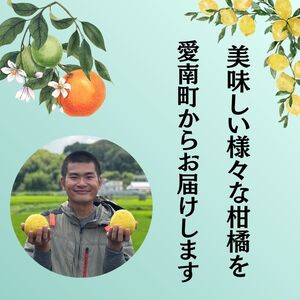 【愛南産ポンカン】ポンカン 3.5kg 