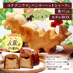 かたちがかわいい！！ヨナグニウマとハンマー君の食パン＆島カヌレBOX  J001 ｜ 手作り パン カヌレ 黒糖 泡盛 花酒 沖縄県 与那国町