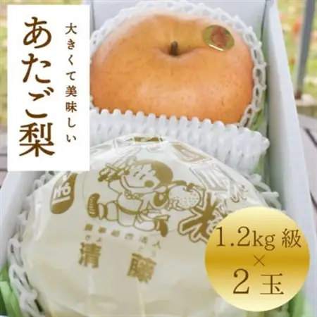 【2026年発送】あたご梨 上級品 2玉入(1.2kg級/玉)(岡山県産) お歳暮やギフトにおすすめ【1559963】