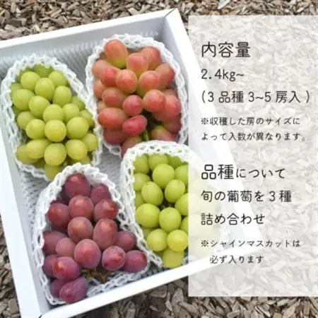 【2026年発送】ぶどう3品種詰合せ(シャインマスカット入)3-5房/計2.4kg～(岡山県産)【配送不可地域：離島・北海道・沖縄県】【1678569】