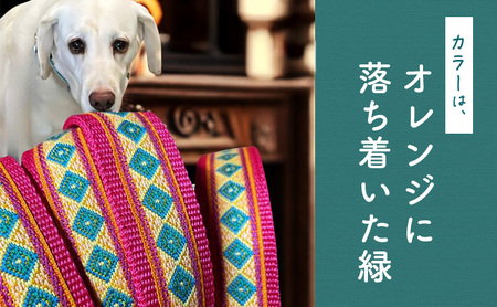 【大型犬用・Lサイズ】 ハーフチョークカラーとリードのセット（オレンジに落ち着いた緑） ペット用品 首輪 リード 大型犬 レトリバー ペット 犬 ワンちゃん セット 浜松市