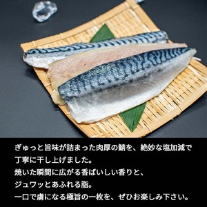 【訳あり】 鯖 サバ干物 片身6枚 さば サバ 魚貝類 加工食品 鯖