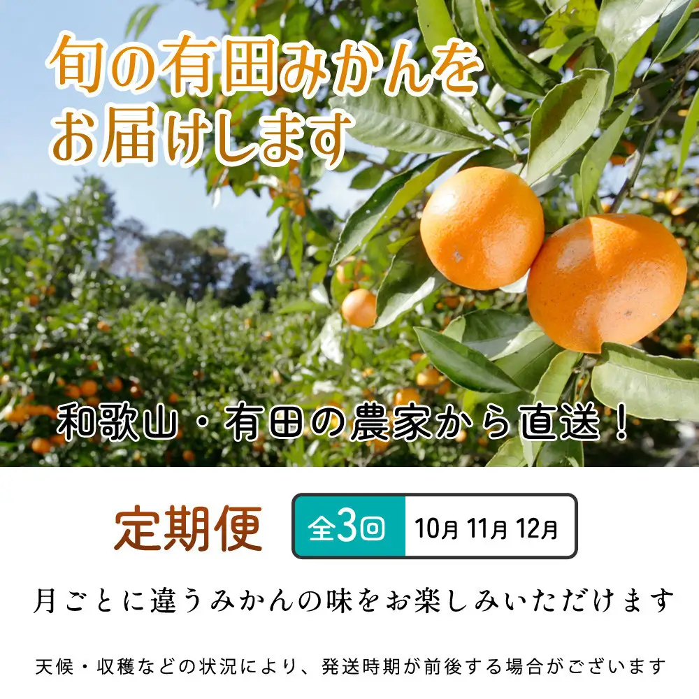 厳選 柑橘定期便SS（10～12月）全3回【みかん定期便お試し版】［IKE284］