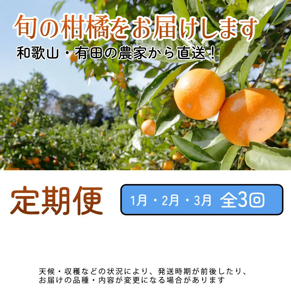 厳選 柑橘定期便M（1～3月）全3回 ［IKE295］