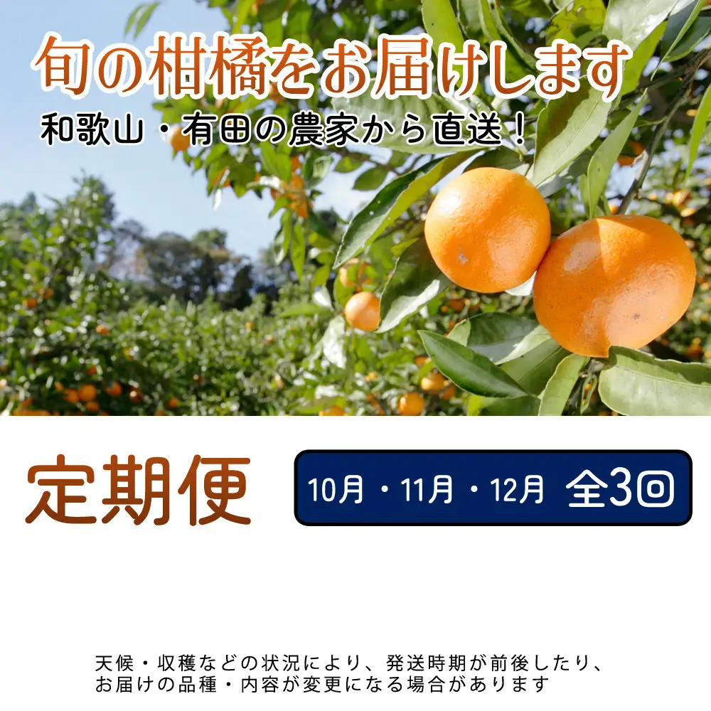 厳選 柑橘定期便M（10～12月）全3回 ［IKE298］
