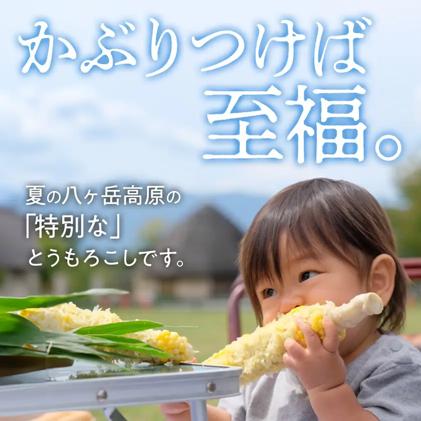 【訳あり】朝採れ 八ヶ岳生とうもろこし はねだし10本(約3kg)〈26年7月～9月下旬発送予定〉【配送不可地域：離島】【1678265】