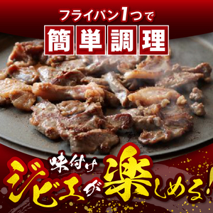 【人気のジビエ】猪鹿鳥セット ジビエ 信州 猪 猪肉 馬 鹿 ジビエの聖地 遠山ジンギス 長野県 南信州 天龍村
