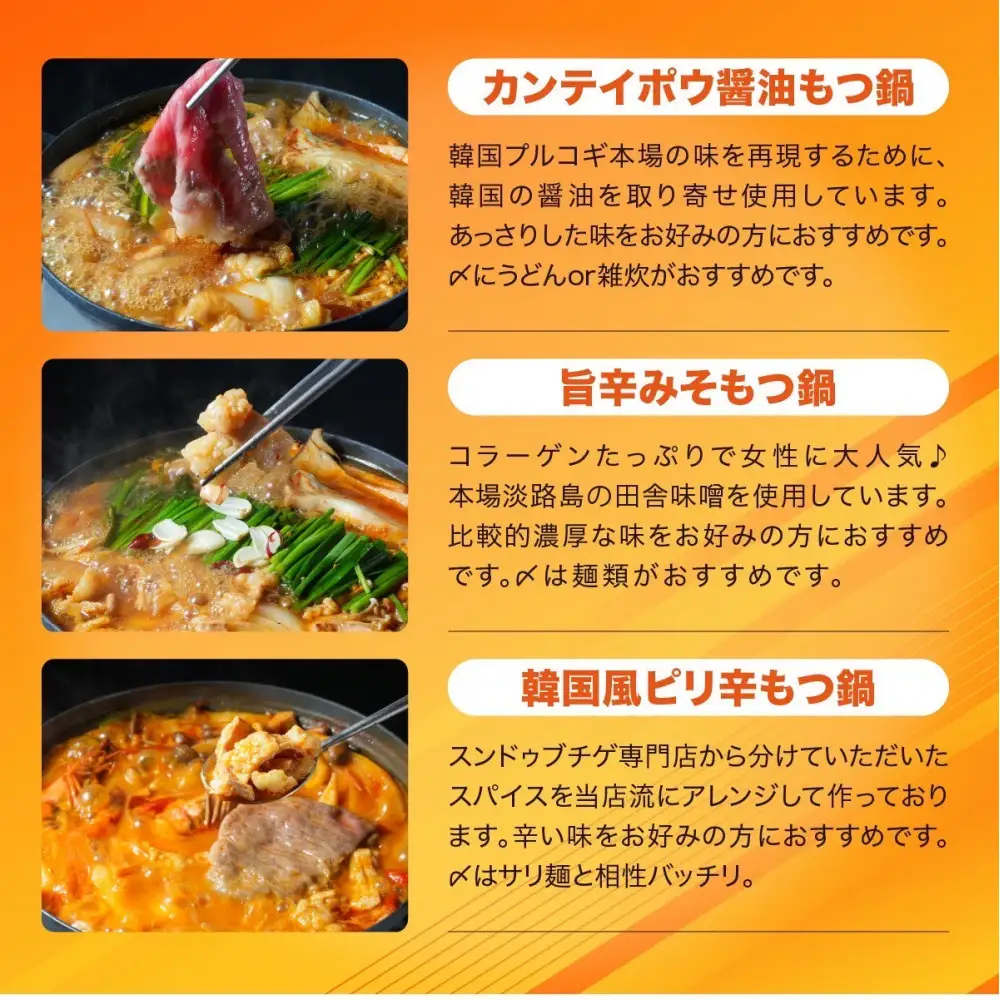 もつ鍋バラエティセット6人前(800g) もつ鍋