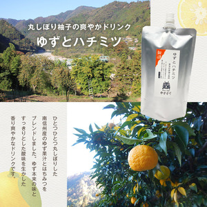 楽しみ方いろいろ！南信州天龍村 ゆずとハチミツ [希釈用ジュース／ご家庭用パウチパック] 