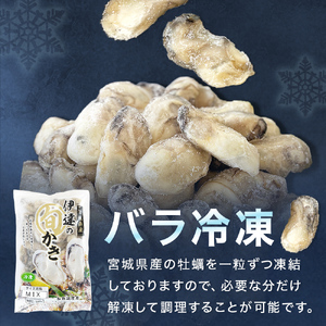 伊達の旬かき 1kg ( 500g × 2個 ) 加熱用 牡蠣 かき カキ むき身 貝 海鮮 魚介 魚介類 宮城県産 新鮮 バラ冷凍 宮城県 石巻市