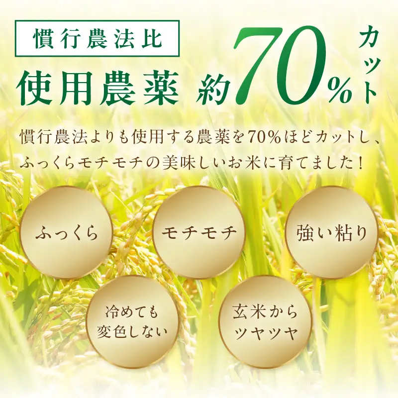 2026年産 京丹後米 特別栽培米コシヒカリ 20kg（玄米）