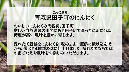 青森田子にんにくの漬物セット4種4品/計400g