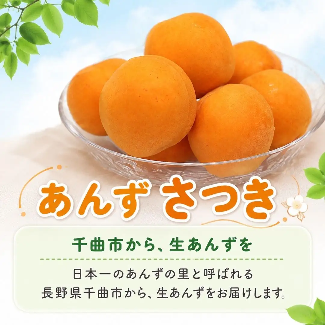 【2027年先行予約】あんず さつき(長野県オリジナル品種) 約2kg | あんず