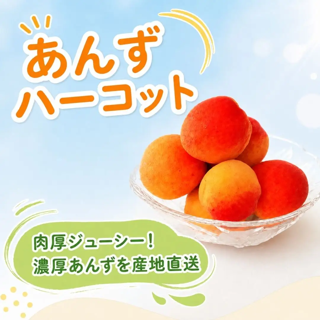 【2027年先行予約】あんず ハーコット(生食/皮ごとOK)  約800g |あんず 生食用 千曲市産 長野県 信州