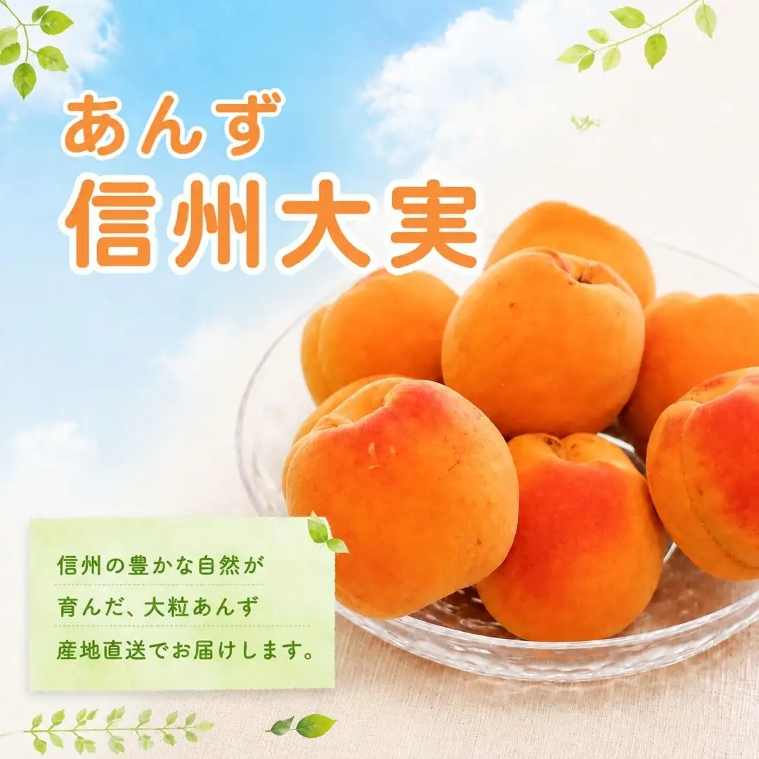【2027年先行予約】あんず 信州大実(長野県オリジナル品種) 約4kg  バラ詰 |あんず 千曲市産 長野県 信州