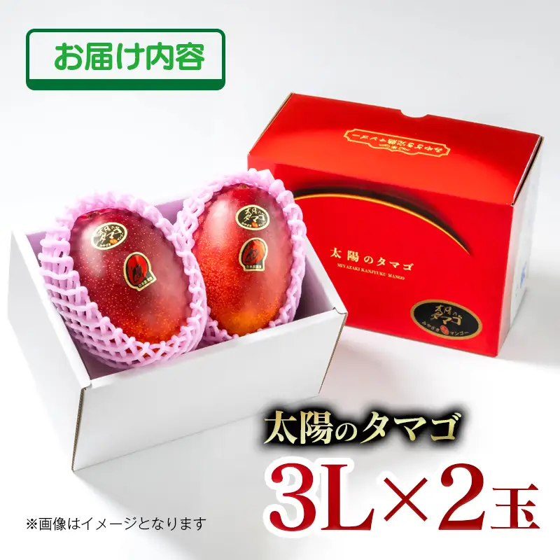 6月発送【先行予約】最高級ブランド『太陽のタマゴ』3L×2個【糖度15度以上】宮崎県西都市産完熟マンゴー＜68-2b＞宮崎マンゴー 果物 フルーツ 甘い
