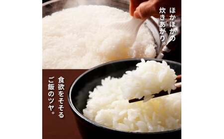 ★令和8年産 新米★四国一小さなまちの田野米  10kg（5kg×2袋）～精米・白米～
