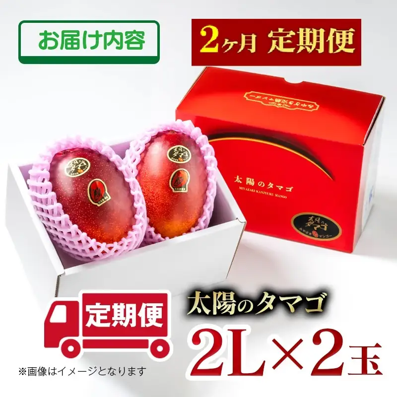 【２カ月定期便】先行予約　最高級ブランド『太陽のタマゴ』2L×2個×２回【糖度15度以上】宮崎県西都市産完熟マンゴー＜68-4b＞宮崎マンゴー 果物 フルーツ 甘い
