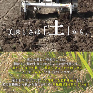 ≪令和7年産≫ お米食べくらべ6kg (つや姫・ひとめぼれ 各3kg) 登米市産 お米 おこめ 米 コメ 白米 ご飯 ごはん おにぎり お弁当 【芳泉農園株式会社】tm541