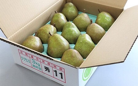 【令和8年産先行予約】 十三代目 佐藤市右衛門 ラ・フランス 約3kg (10～12玉 秀 L～3L) 《令和8年11月上旬～発送》 『旬の果実 佐藤市右衛門農園』 ラフランス 西洋梨 洋なし 果物 フルーツ デザート 山形県 南陽市 [1968]