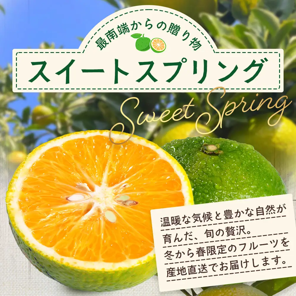 【先行予約・数量限定】鹿児島県南大隅町産 スイートスプリング（M~L玉） 約5kg 【2026年12月中旬以降順次発送】 SK-10 | 柑橘 フルーツ 国産 果物 みかん 期間限定 数量限定 産地直送 もぎたて 新鮮 果汁 たっぷり ミカン スイートスプリング 5kg 南大隅町 鹿児島県 島子農園