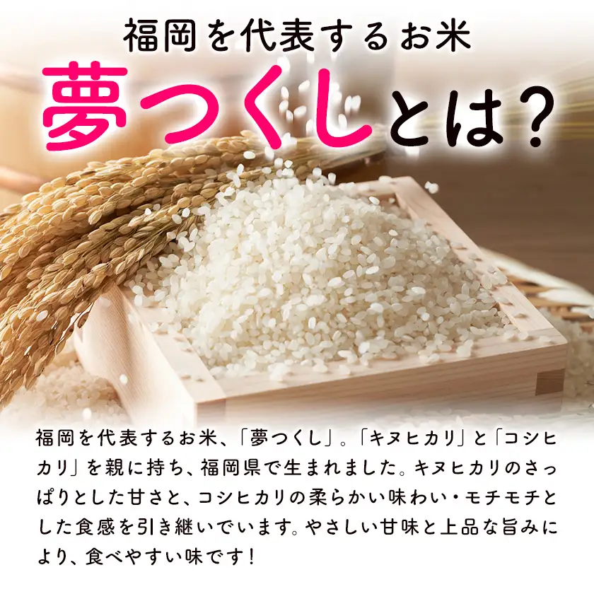 【12ヶ月定期便】夢つくし 令和7年産 20kg 白米 《お申込み翌月から出荷》 お米 ごはん ご飯 rice kome