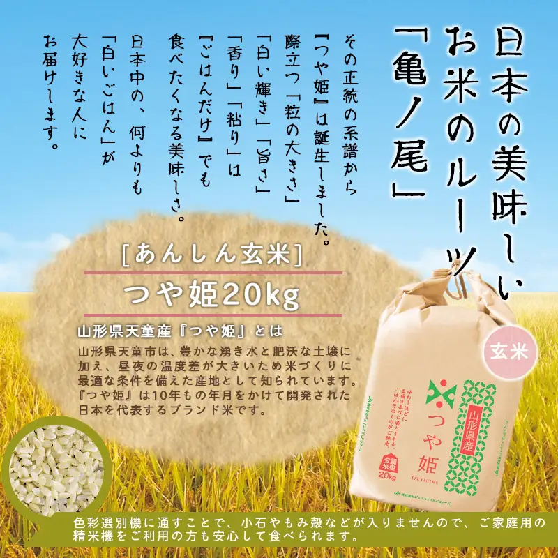 新米 【12月中旬発送】 令和8年産 あんしん玄米 つや姫 20kg