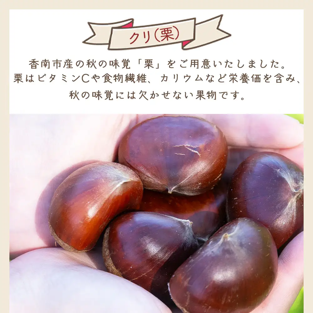 栗 2袋（２kg） 栗 yr-0103