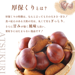 甘くて デカい ! 厚保くり 3Ｌサイズ ( 生栗 ) 約3kg 山口美祢産 ＜ 2026年11月中旬 発送予定＞