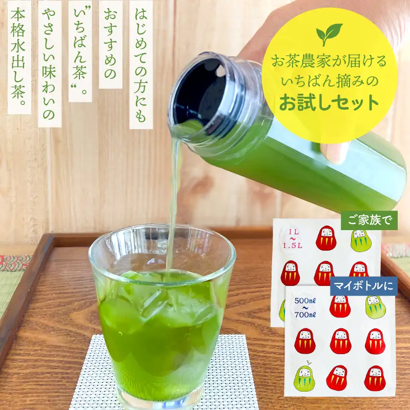 お茶 農家 の 水出し 緑茶 ティーバッグ（ お試しセット ） KN166-003 茶