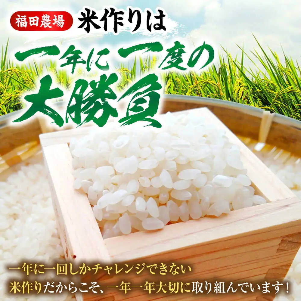 【全2回定期便】あきろまん 6kg 定期便 精米 白米 [APBM006]