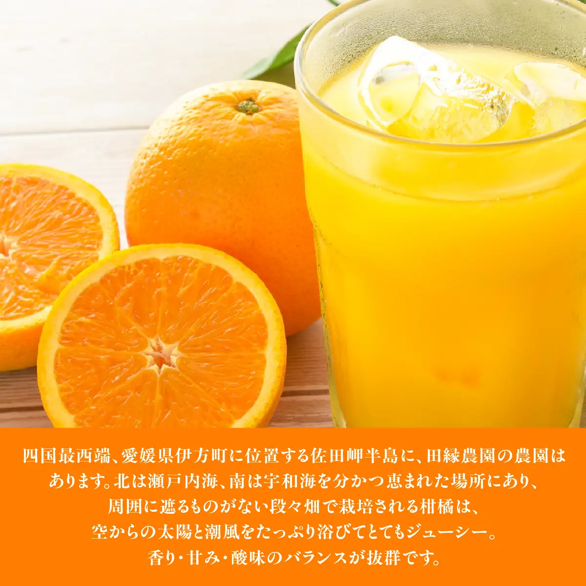 【6ヶ月定期便】田縁農園 6種みかんジュースセット 各2本セット×全6回 みかん いよかん 河内晩柑 不知火 きよみ ひょうかん IKTA051