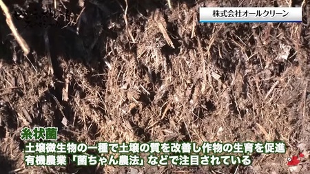 [引取り専用] 植物性有機肥料 フリーパスチケット (全種選択可) ／ ウッドチップ (枝葉・幹) 竹チップ全て [0524]
