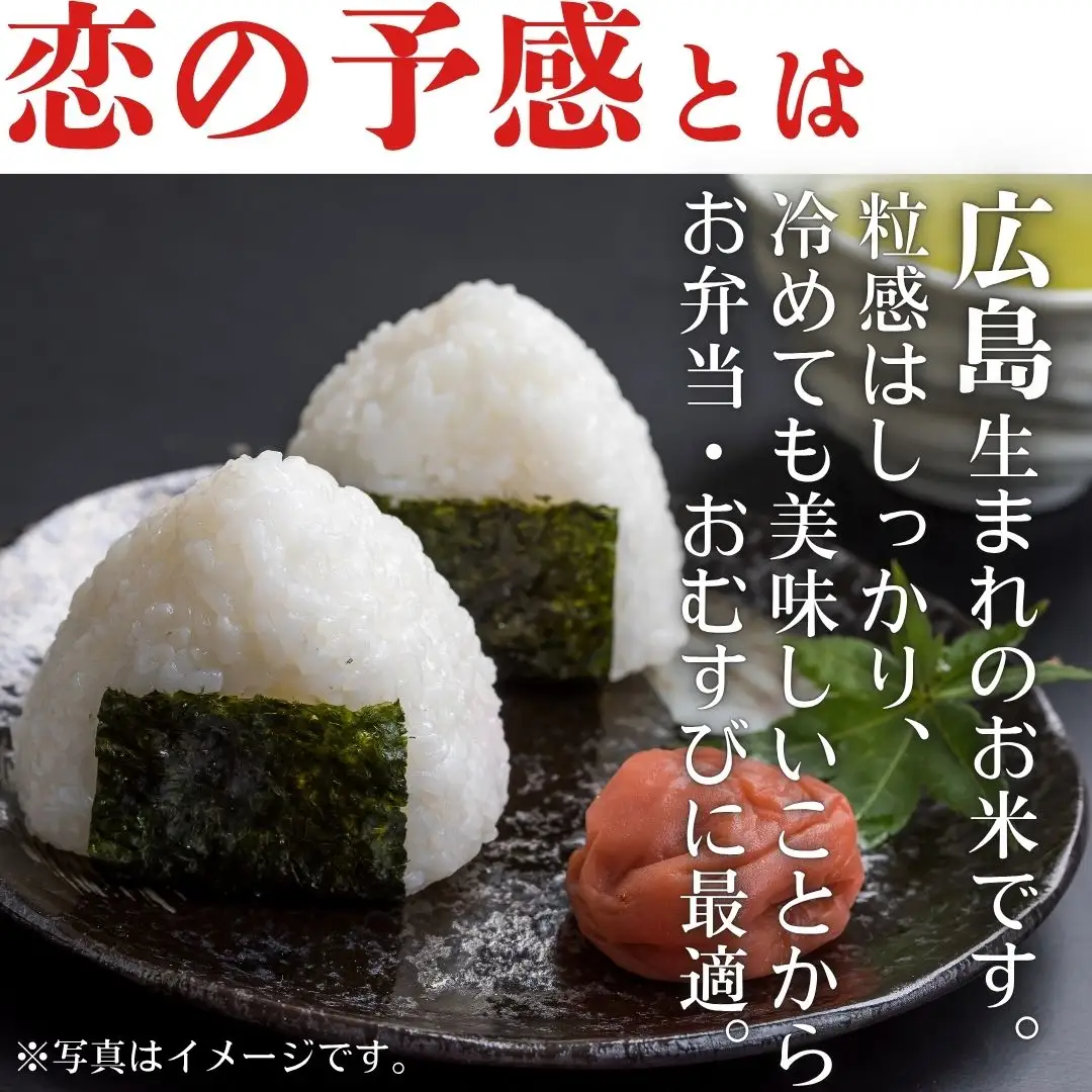 令和7年産　東広島市産米　恋の予感　無洗米　5kg