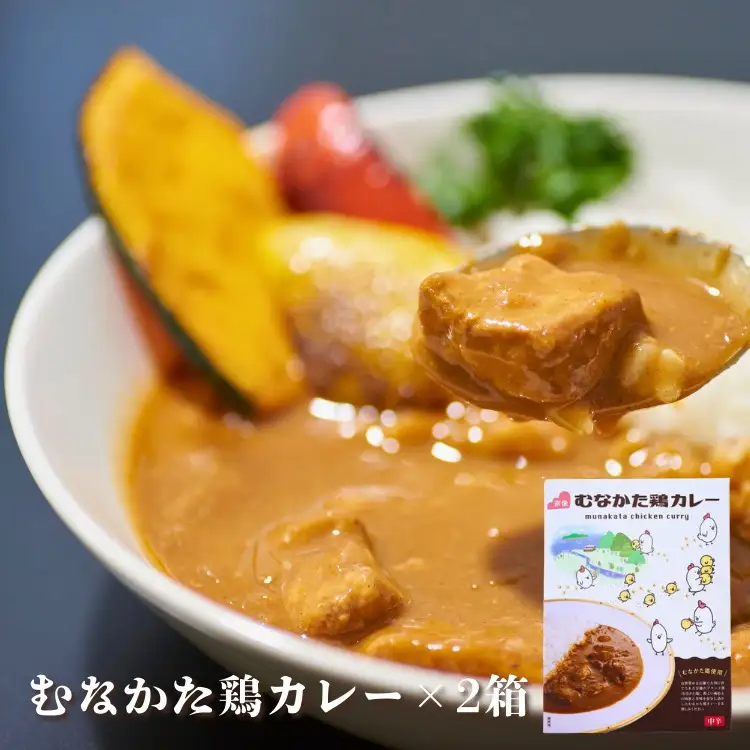 【道の駅むなかた】むなかた鶏シリーズ 鶏づくしセット（計1.3kg）_HA1837