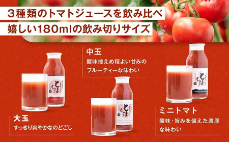 庄兵衛さん家のとまじゅう飲み比べ 180ml 12本セット 飛騨高山 寺田農園トマトジュース とまと トマト ジュース 野菜ジュース 飲み比べ 飲みきりサイズ BN009