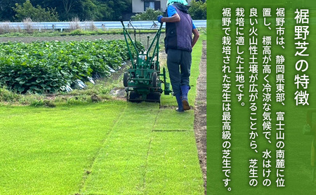 裾野芝（高麗芝）20ロール（20m2）単位　芝 芝生 ガーデニング DIY 庭 天然 天然芝 裾野市 静岡県