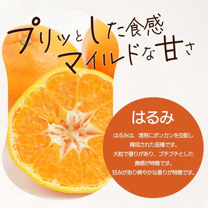 〈訳あり〉 はるみ 2.5kg 《2027年2～3月発送予定》 栽培期間中 防腐剤 ワックス 不使用 おくはち農園 旬 柑橘 かんきつ フルーツ 果物 瀬戸内 166007