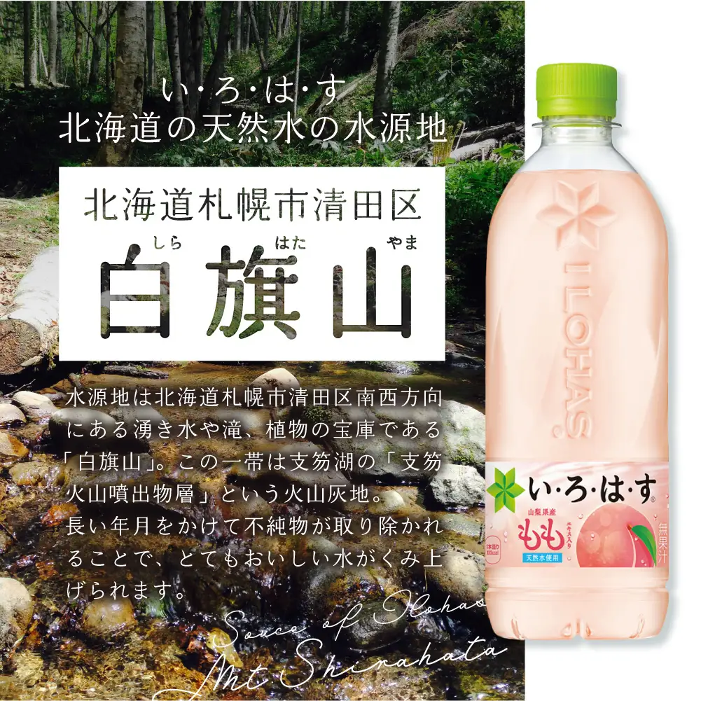 【３ヶ月定期便】い・ろ・は・す もも　540mlPET×48本｜コカ・コーラ 飲料 ドリンク 飲み物 水 北海道 札幌市