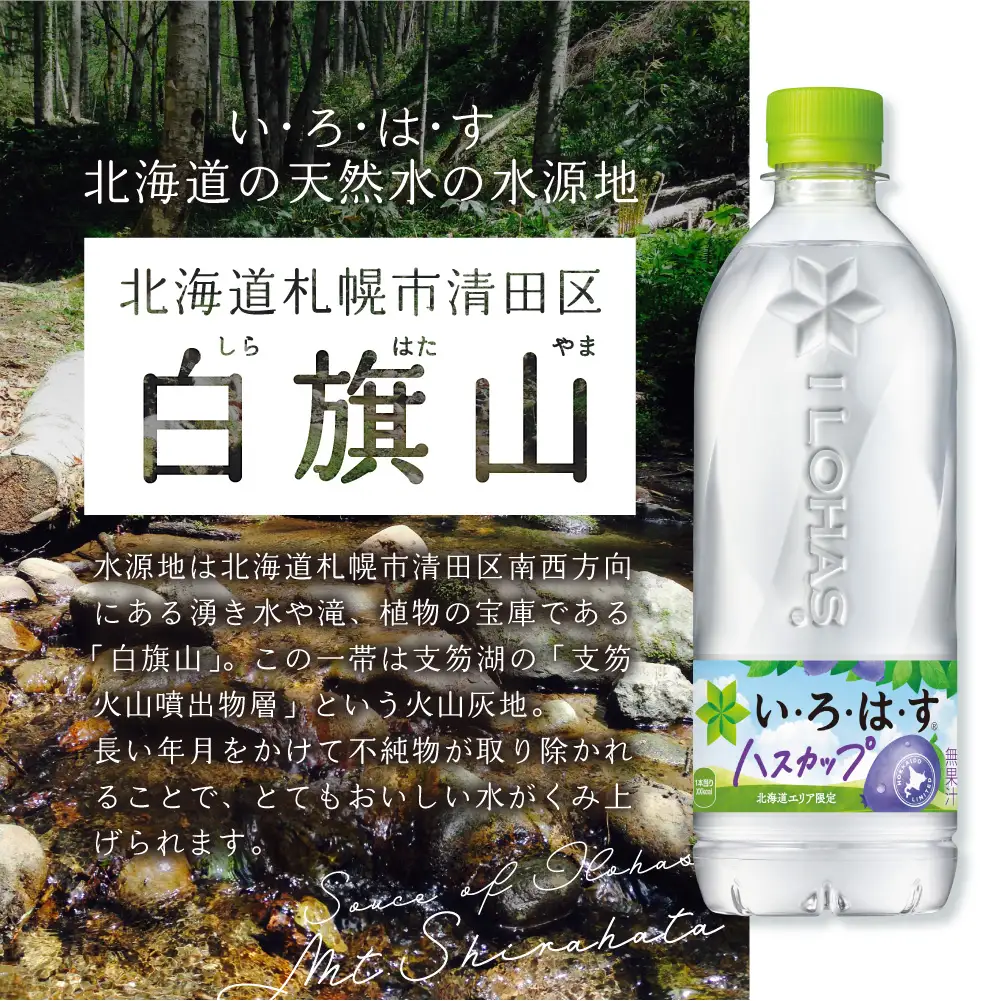 【２ヶ月定期便】い・ろ・は・す ハスカップ　540mlPET×48本｜コカ・コーラ 飲料 ドリンク 飲み物 水 北海道 札幌市