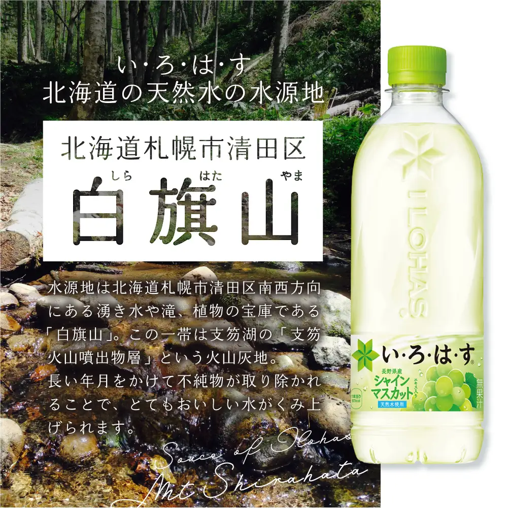 【３ヶ月定期便】い・ろ・は・す シャインマスカット540mlPET×48本｜コカ・コーラ 飲料 ドリンク 飲み物 水 北海道 札幌市