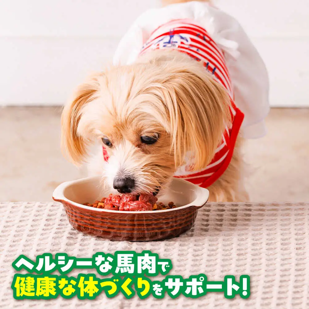 【全3回定期便】国内加工 ペット用 馬肉 切り落とし 約2kg ペット用 BHCY058