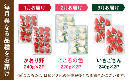 先行予約 2027年1月〜発送【3回定期便】3種の食べ比べ定期便(1) 【StrawberryFarm-K】[IBJ030]