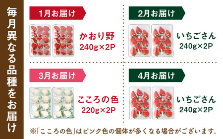 先行予約 2027年1月〜発送 【4回定期便】3種の食べ比べ定期便(3)  【StrawberryFarm-K】[IBJ032]