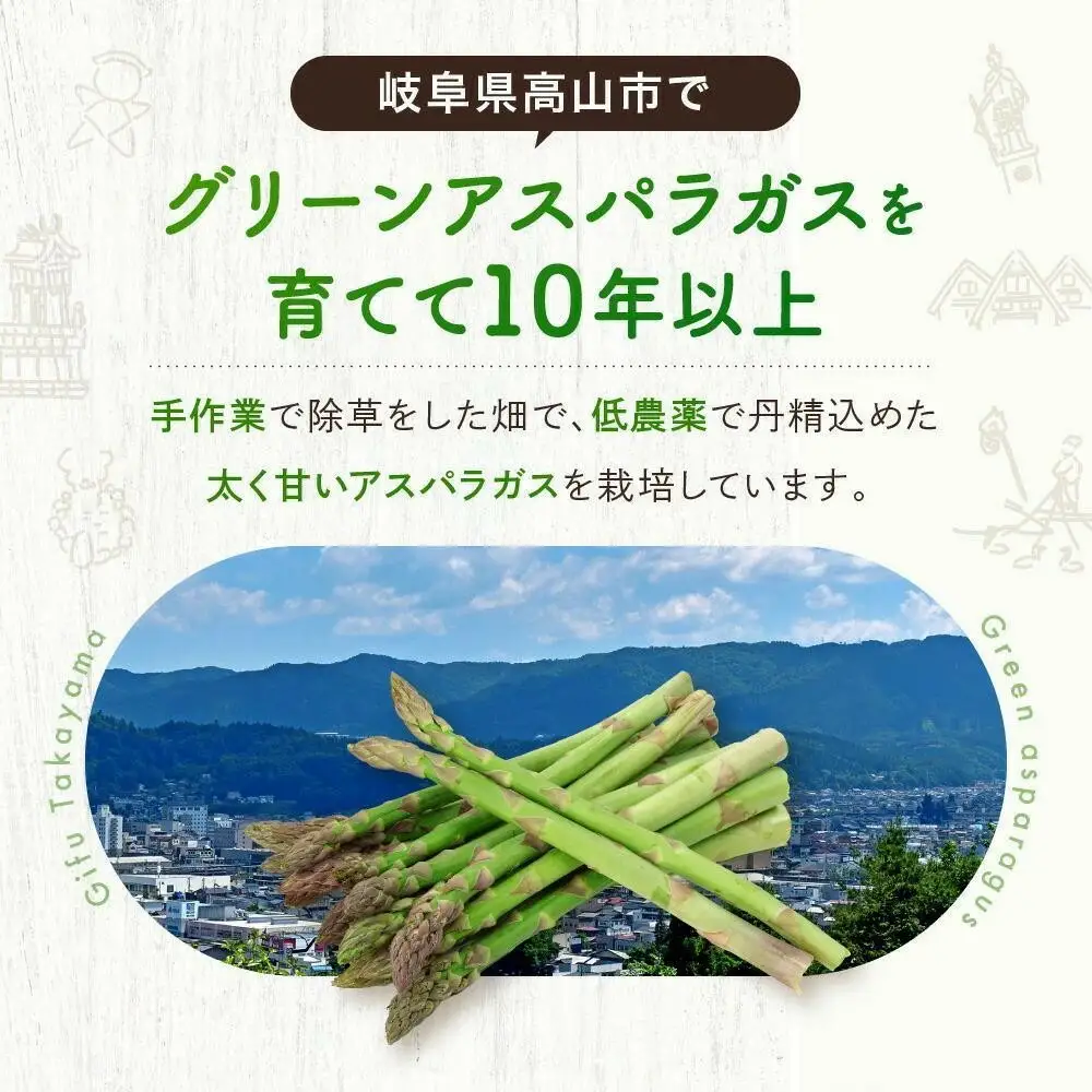 【2026年発送】ひだっこアスパラガス1.5kg |  産地直送 春 夏野菜 アスパラガス CM004VC01