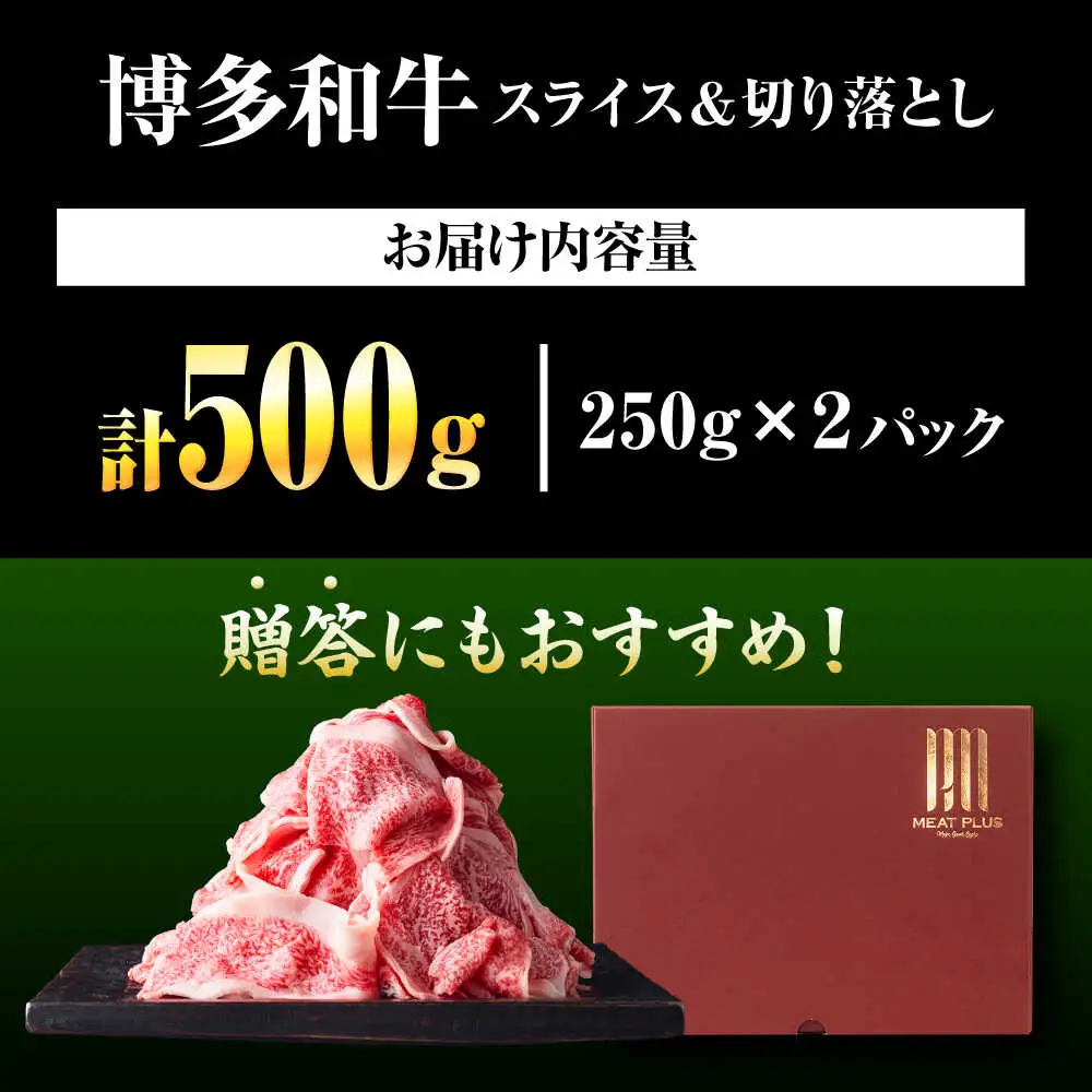 【A4-A5】博多和牛 大判霜降り 贅沢切り落とし 500g (250g×2P) [BGAB109]